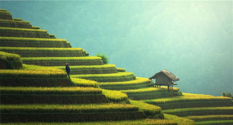 Nordbergvölker, Kultur & Tempelabenteuer ©Sasint /adobestock